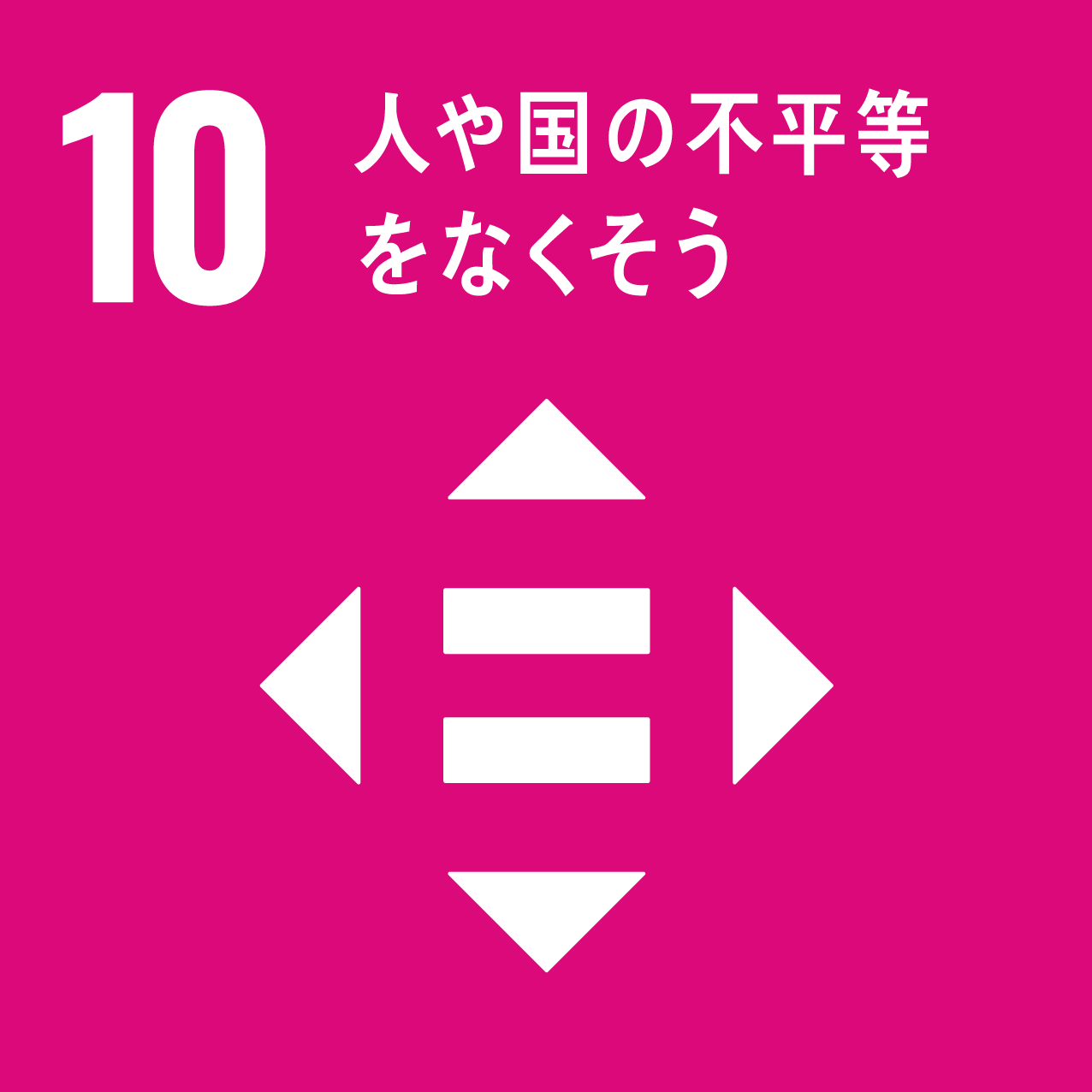 目標 10 : 人や国の不平等をなくそう